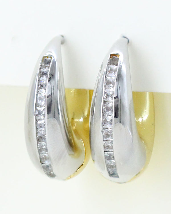 Aretes bicolor