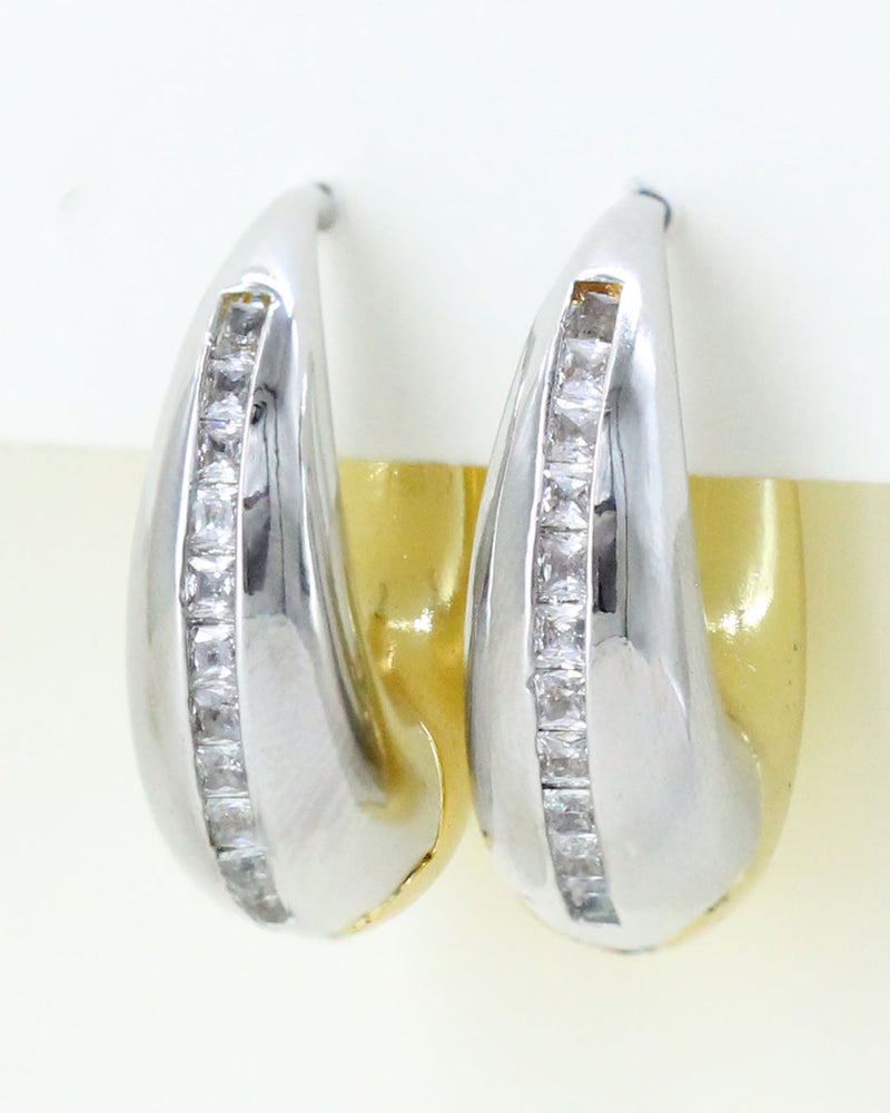 Aretes bicolor