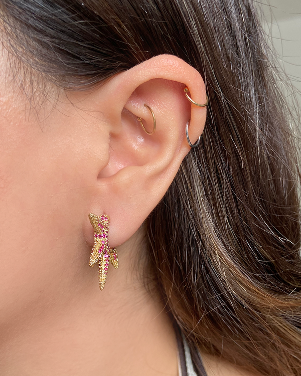 Aretes Lady Gaga Rosa