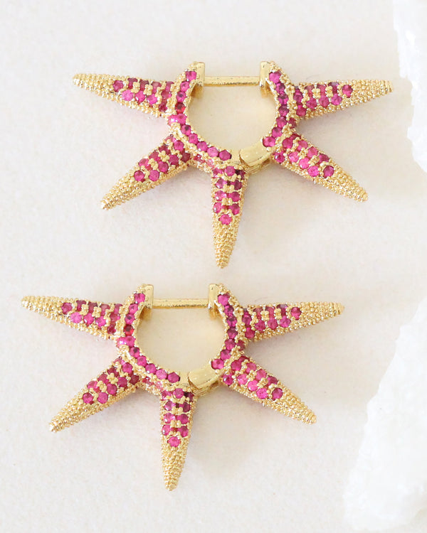 Aretes Lady Gaga Rosa