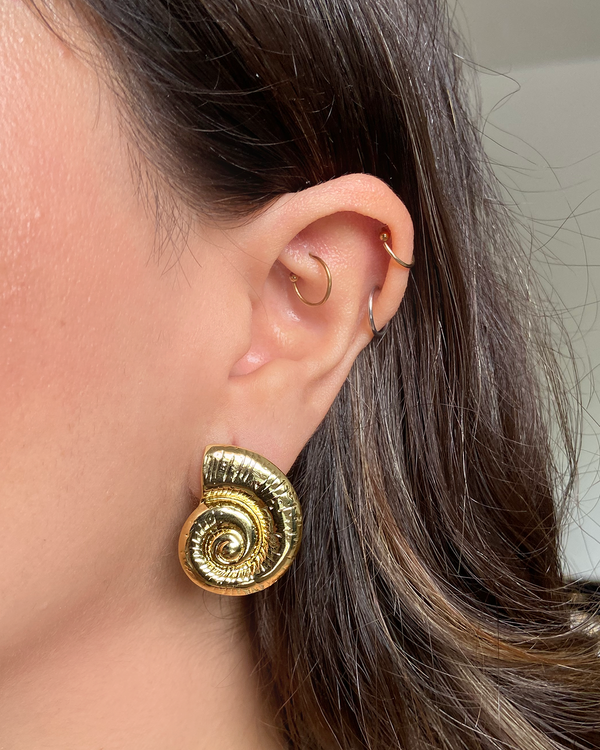 Aretes Fosil