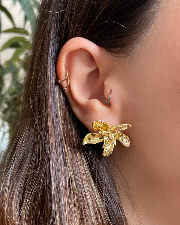 Aretes Hawai