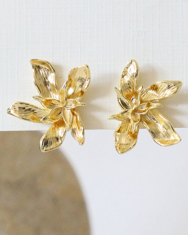 Aretes Hawai