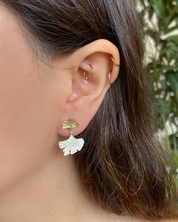 Arete Nature Zirconias
