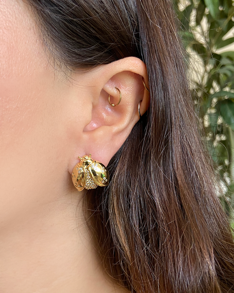 Aretes Catarina