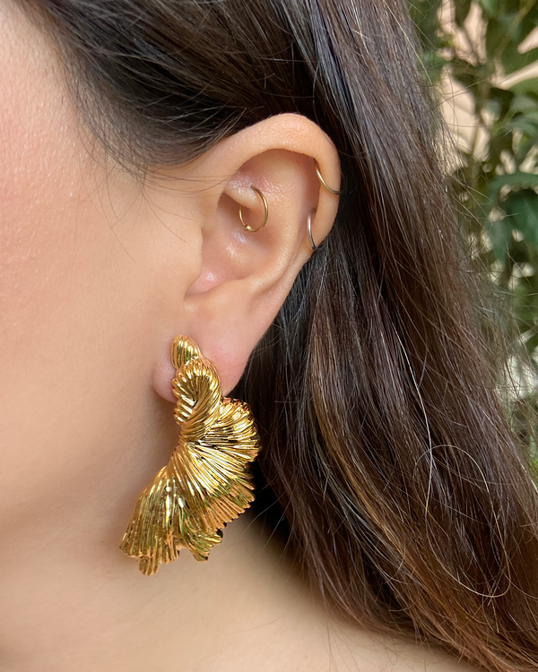 Aretes Croisant