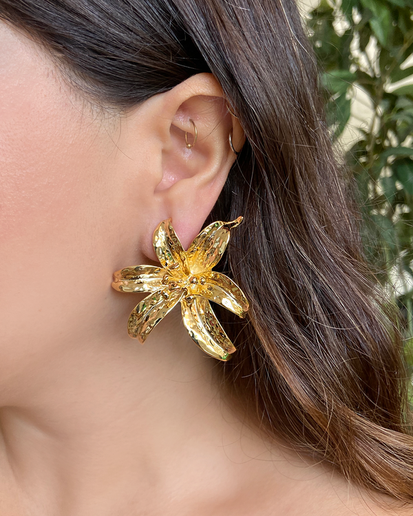 Aretes Orquidea