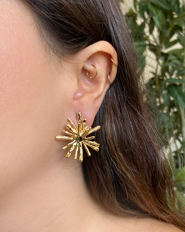 Aretes Erizo