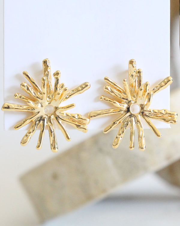 Aretes Erizo