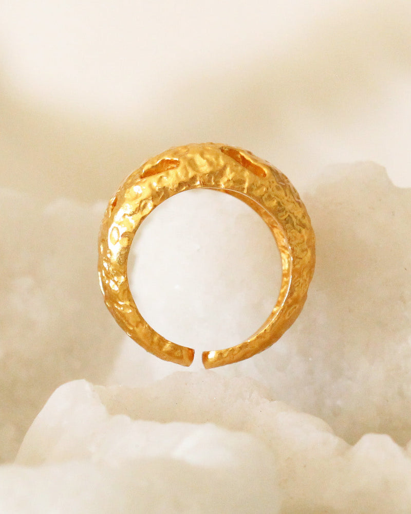 Anillo Huecos Orgánicos