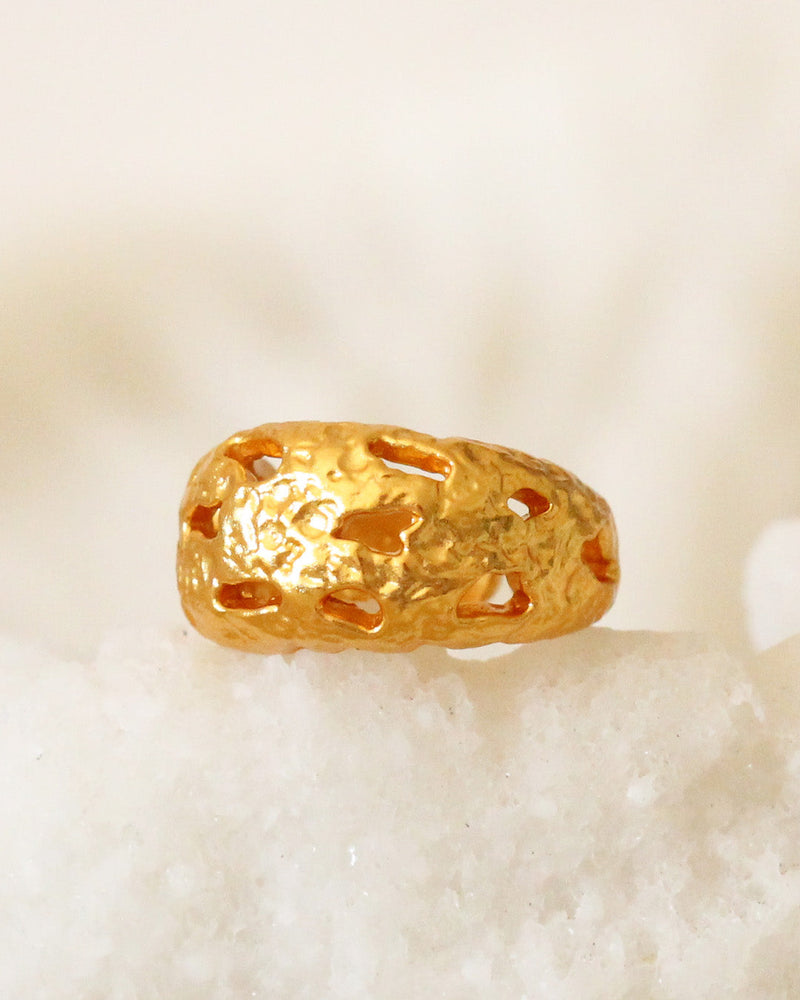 Anillo Huecos Orgánicos