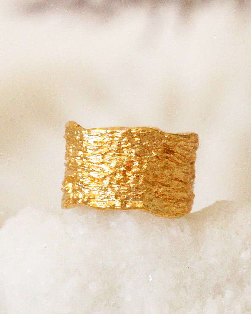 Anillo Textura Orgánica