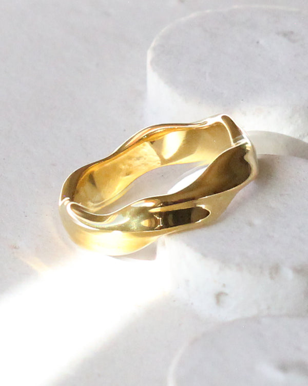 Anillo Organico Acero