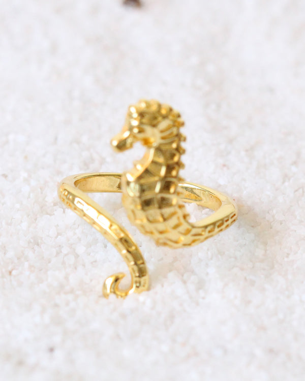 Anillo Caballo de Mar
