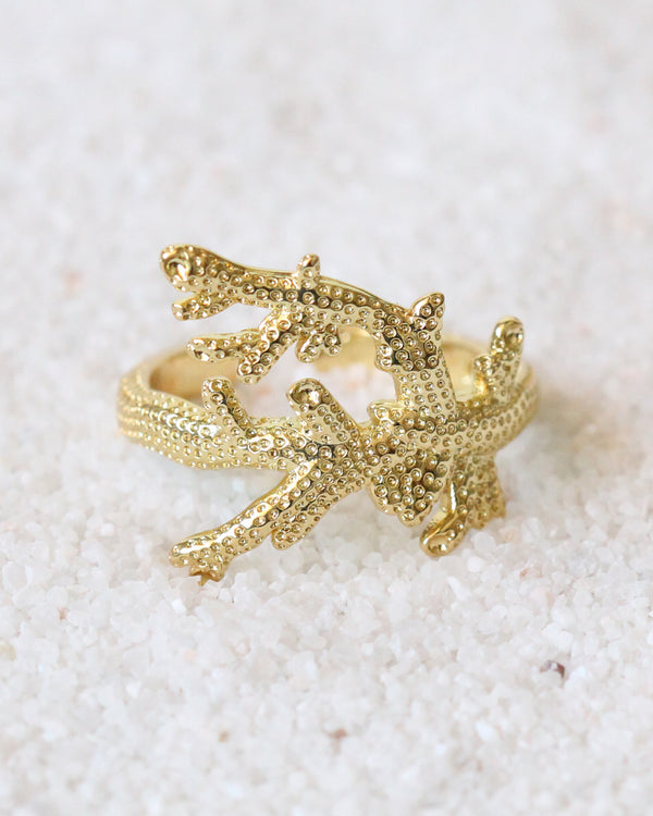 Anillo Coral