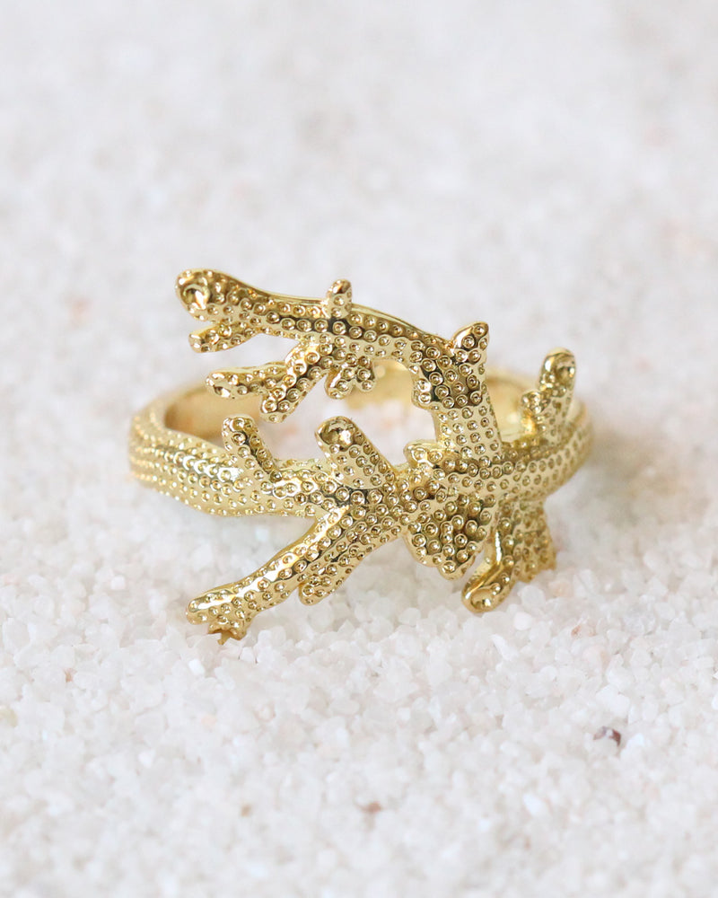 Anillo Coral