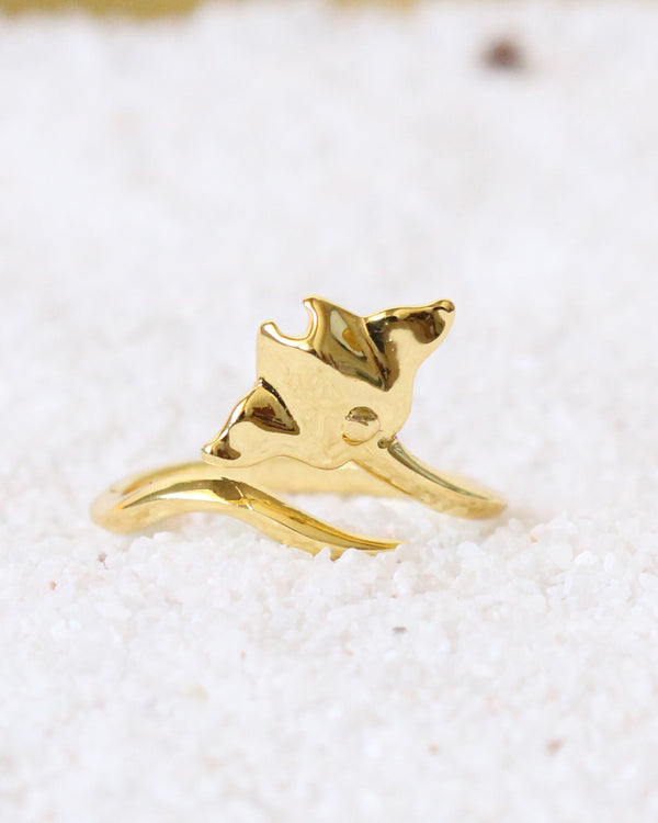 Anillo Mantaraya