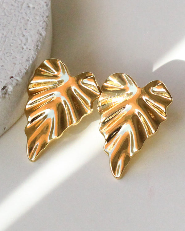 Aretes Hoja Acero