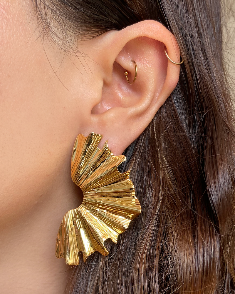 Aretes Organicos Media