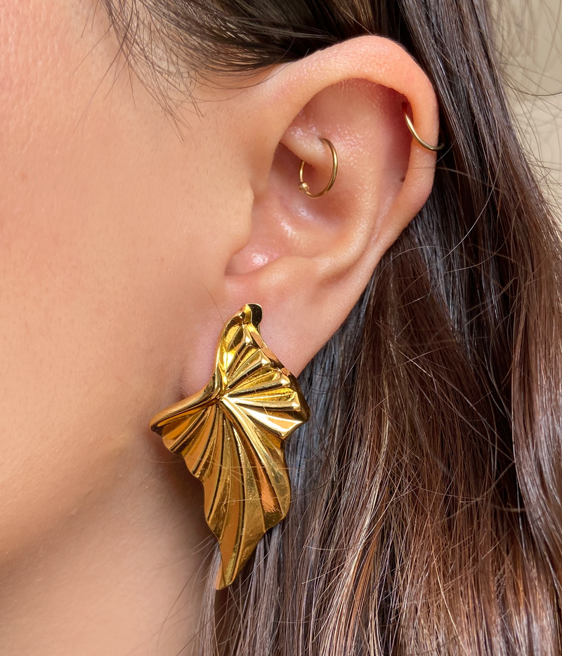 Aretes Papalote Nature