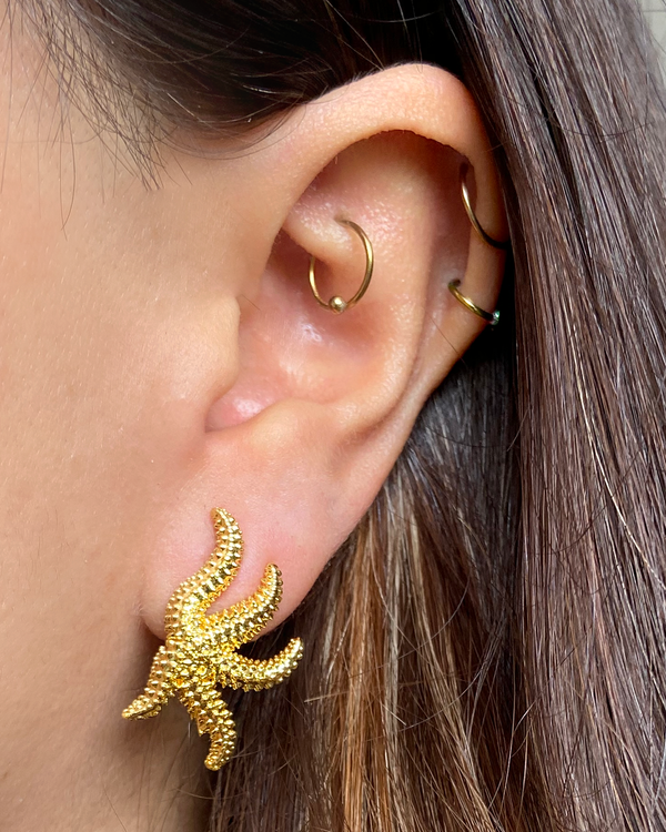 Aretes Starfish