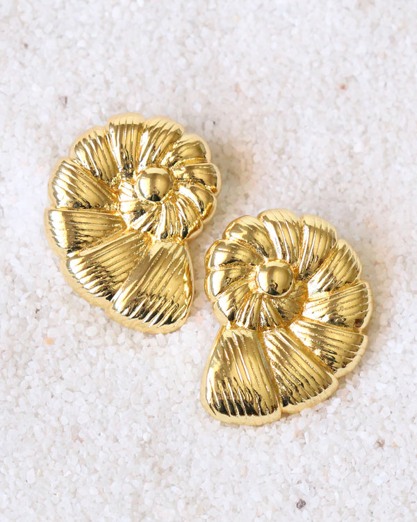 Aretes Caracol