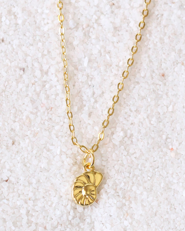 Collar Mini caracol