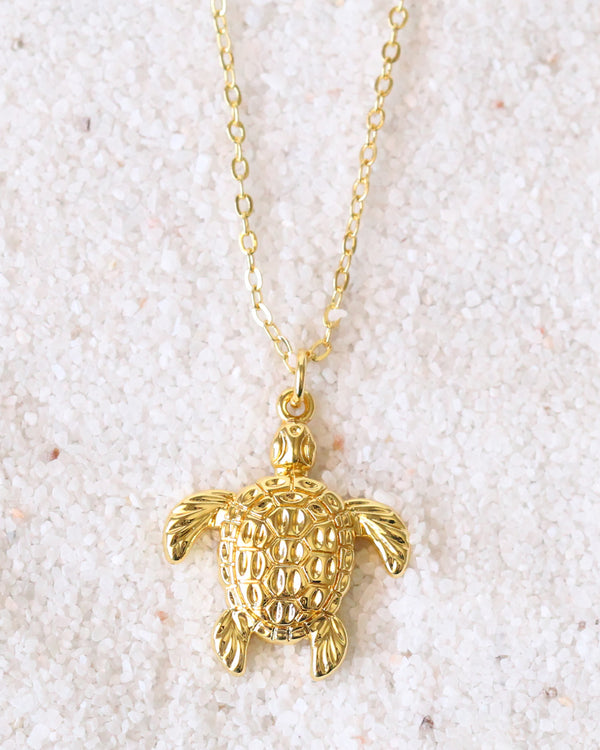 Collar tortuga